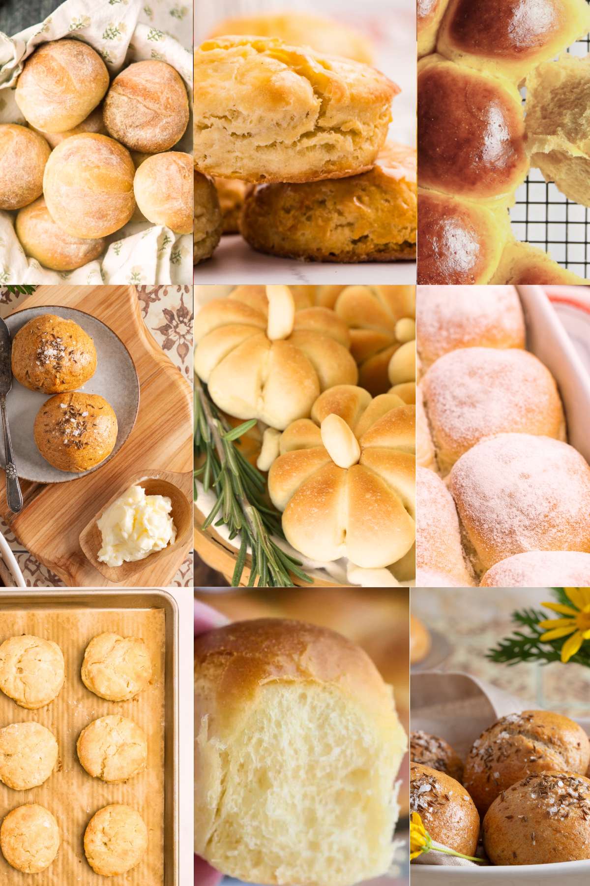 grid 0f 9 thanksigving breads