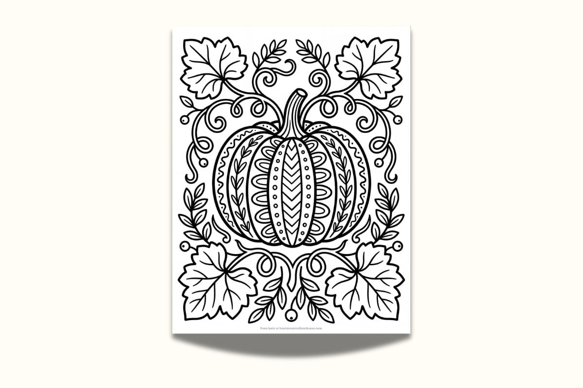 Pumpkin and leaves