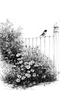 sketch of bird on fence.