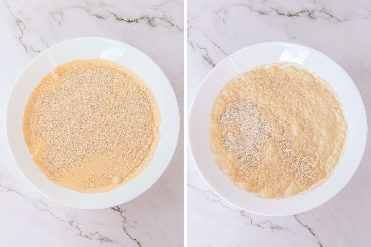 Side-by-side white bowls showing yeast blooming in warm liquid, dry then foamy on marble.