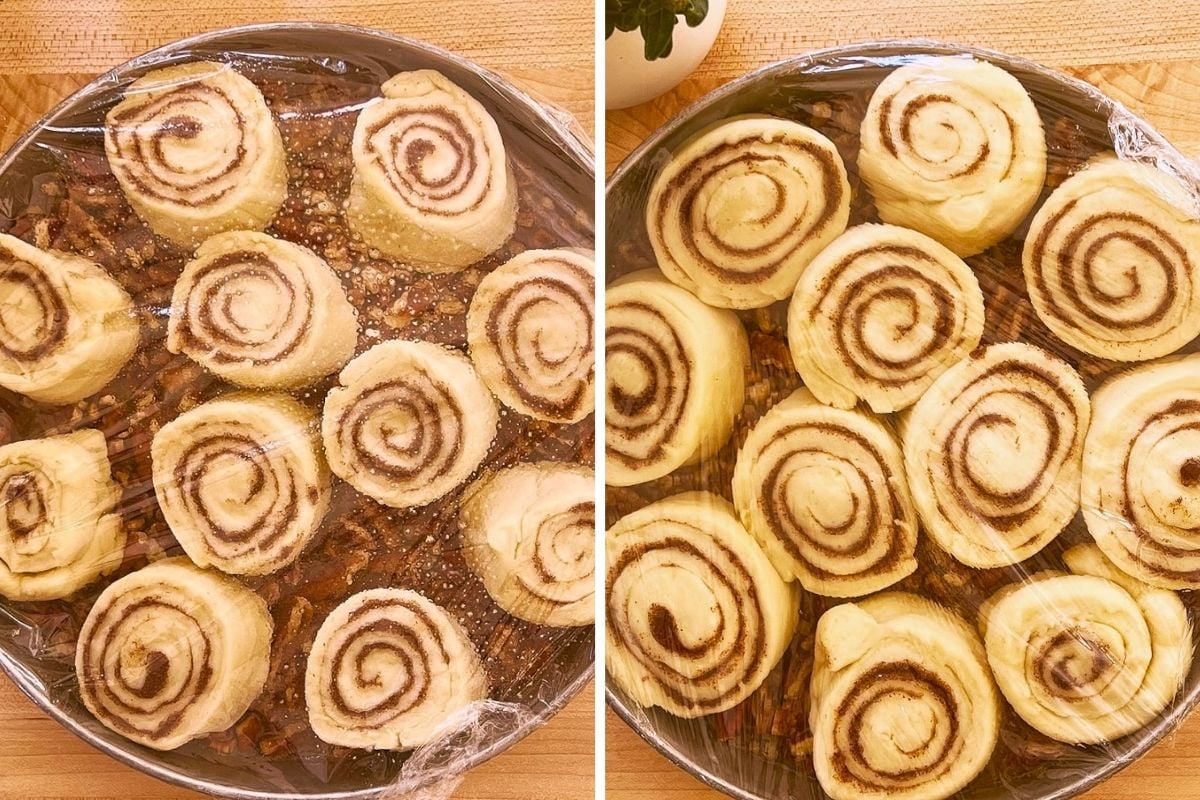 Side-by-side pans of cinnamon rolls under plastic wrap, showing the buns before and after rising.