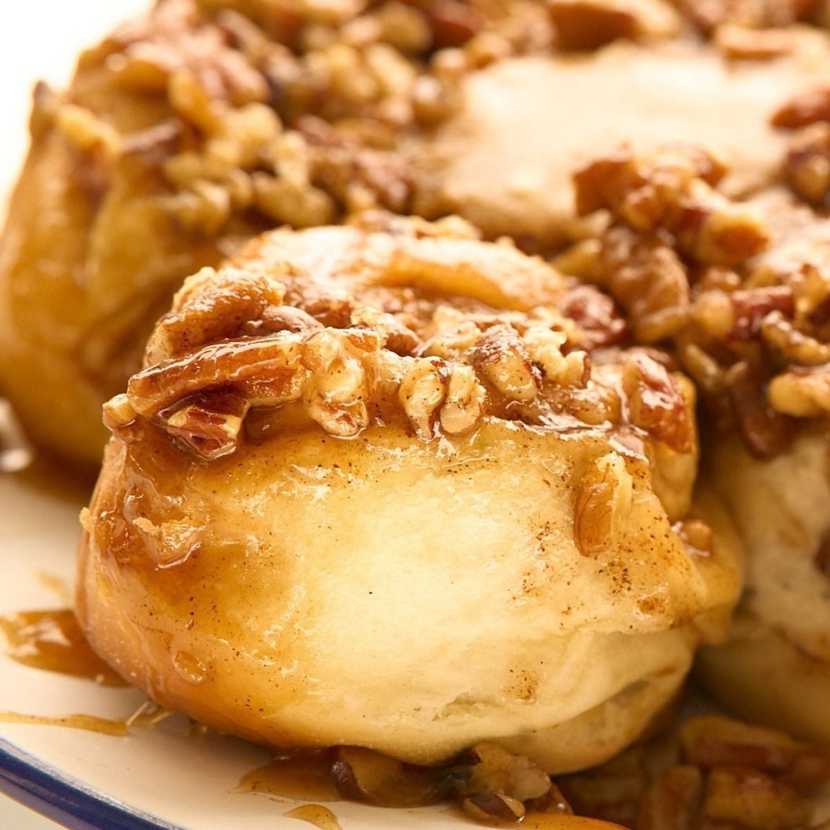 Close-up of pecan-topped sticky buns glazed with caramel on a blue-rimmed white plate.